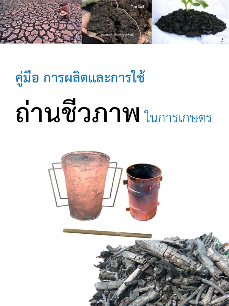 How to Pronounce Biochar Plus Origin Etymology & Usage