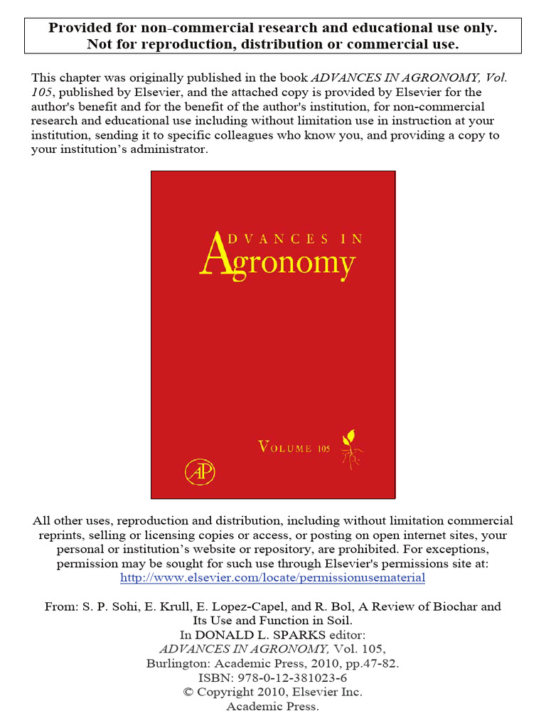 What Are the Drawbacks of Biochar? A Critical Examination