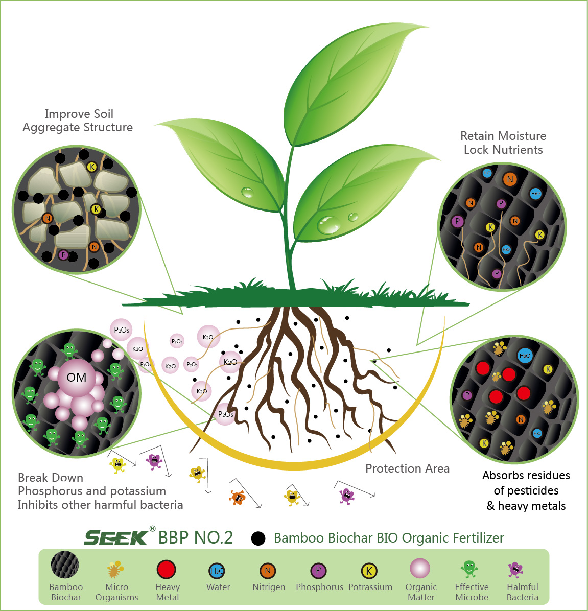 Microbial Biofertilizers + Biochar: Can This Duo Boost Global Food Security?