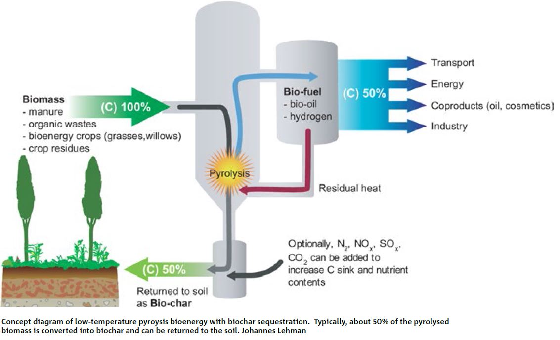 What Is Pyrolysis? The Science Behind Turning Biomass Into Biochar