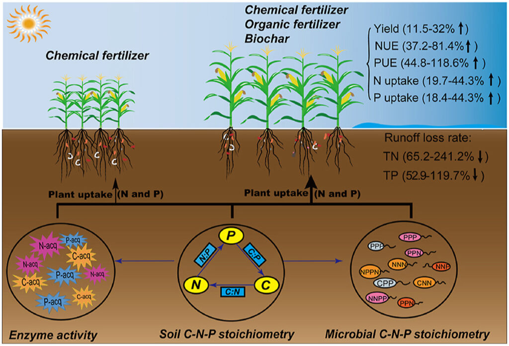 Agricultural Benefits of Biochar: What Farmers Need to Know