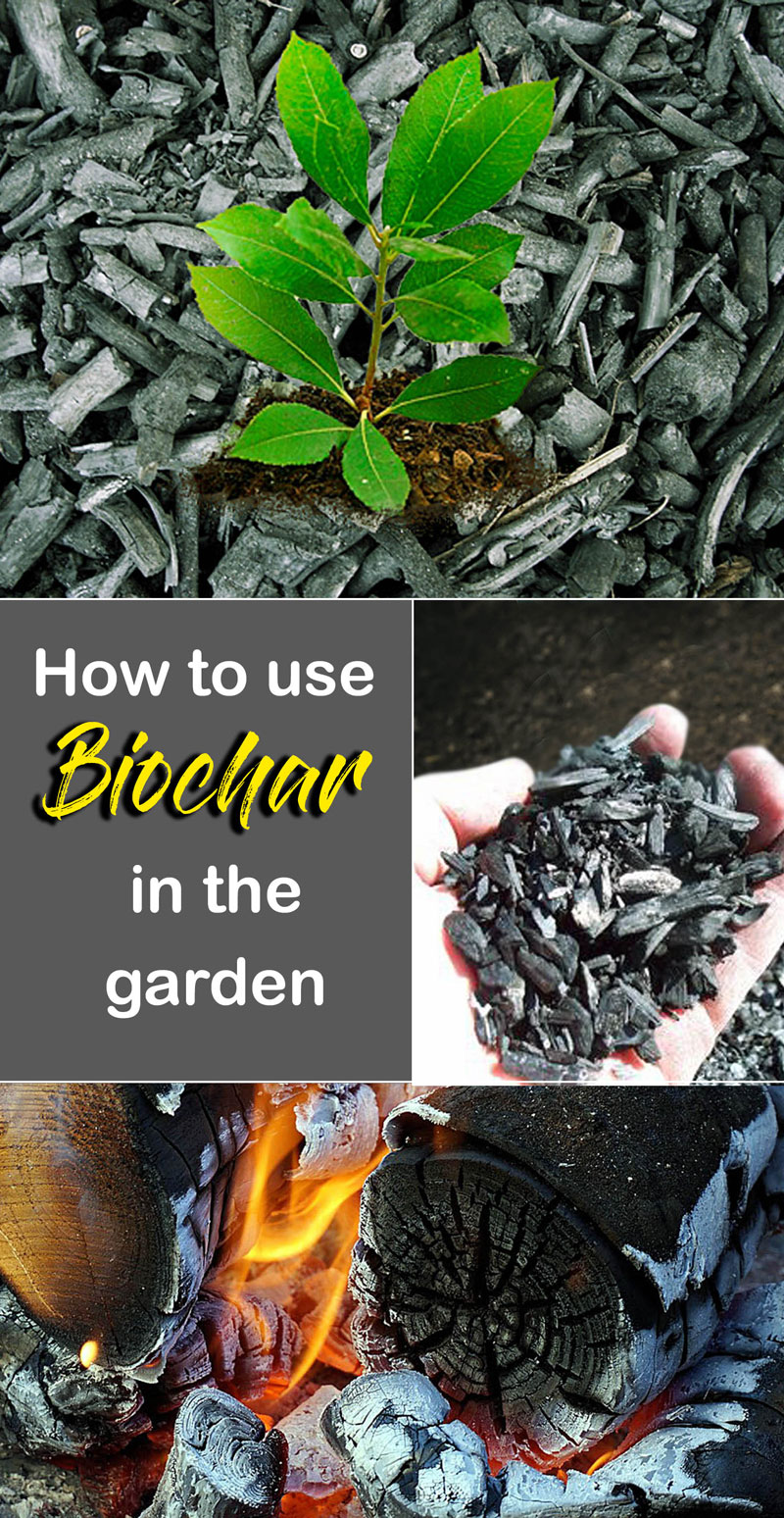 How to Improve Garden Soil pH: Biochar and Beyond