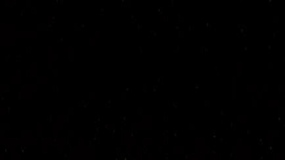 Black to the Future: How Biochar Could Save Our Forests