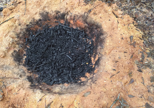 Making Small Batches of Biochar Without a Kiln — Yes It’s Possible