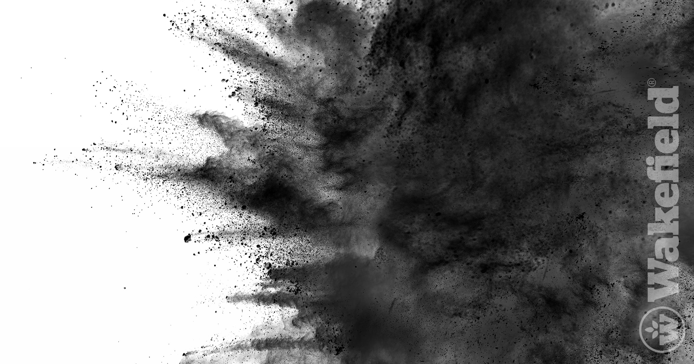 Biochar Chemical & Physical Properties Explained Clearly