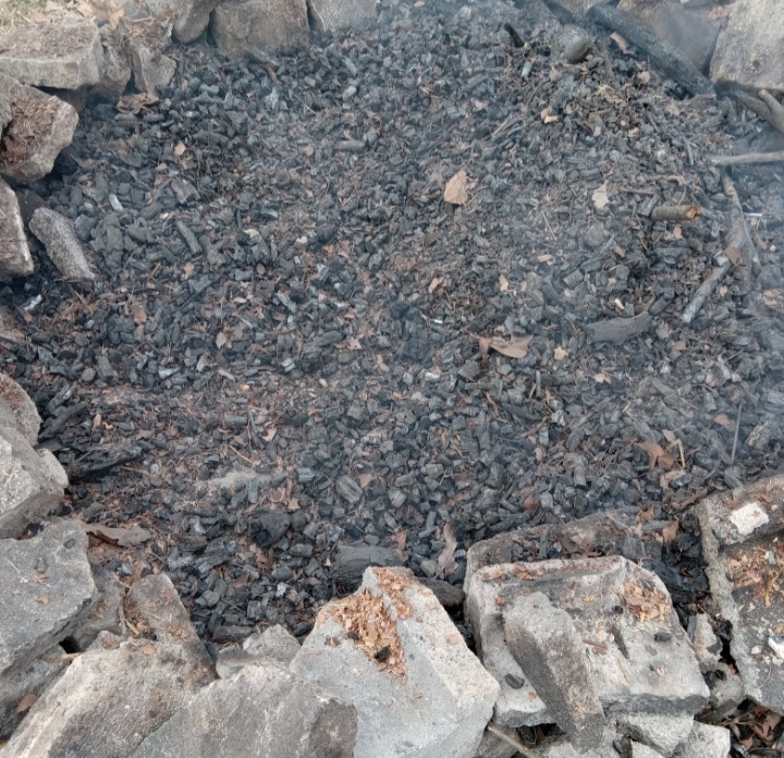 The Real Pros and Cons of Biochar: An Honest Balanced Guide
