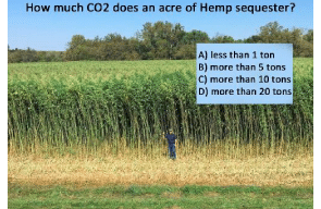 How Much CO₂ Does an Acre of Hemp Sequester? The Numbers Explained