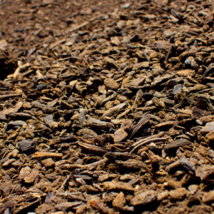 History & Origins of Biochar