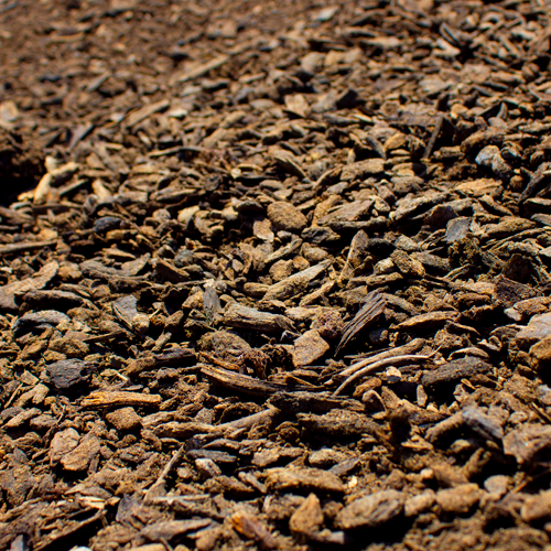 History & Origins of Biochar