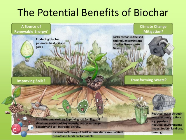 The Real Costs and Benefits of Biochar Production & Use